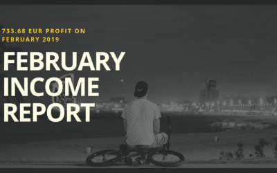 My First Income Report – 733.68 EUR Profit On February 2019