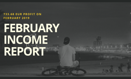 My First Income Report – 733.68 EUR Profit On February 2019