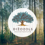 dizozols-investments-logo